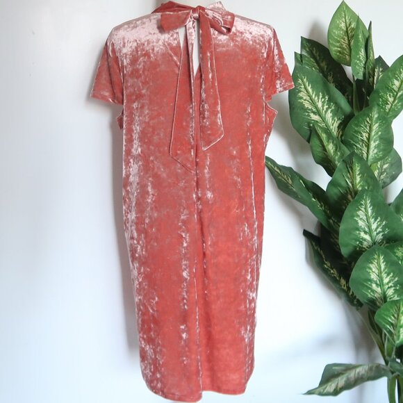 Madewell Blush Pink Crushed Velvet Dress Tie Back Short Sleeve Mock Neck Size L - Picture 11 of 13